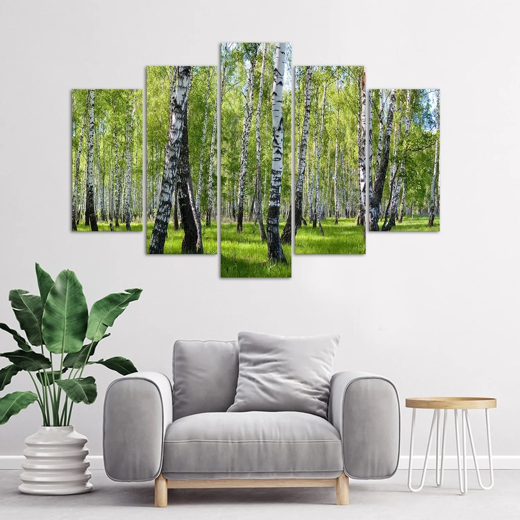 Gario Vászonkép Nyírfák - 5 részes Méret: 150 x 100 cm