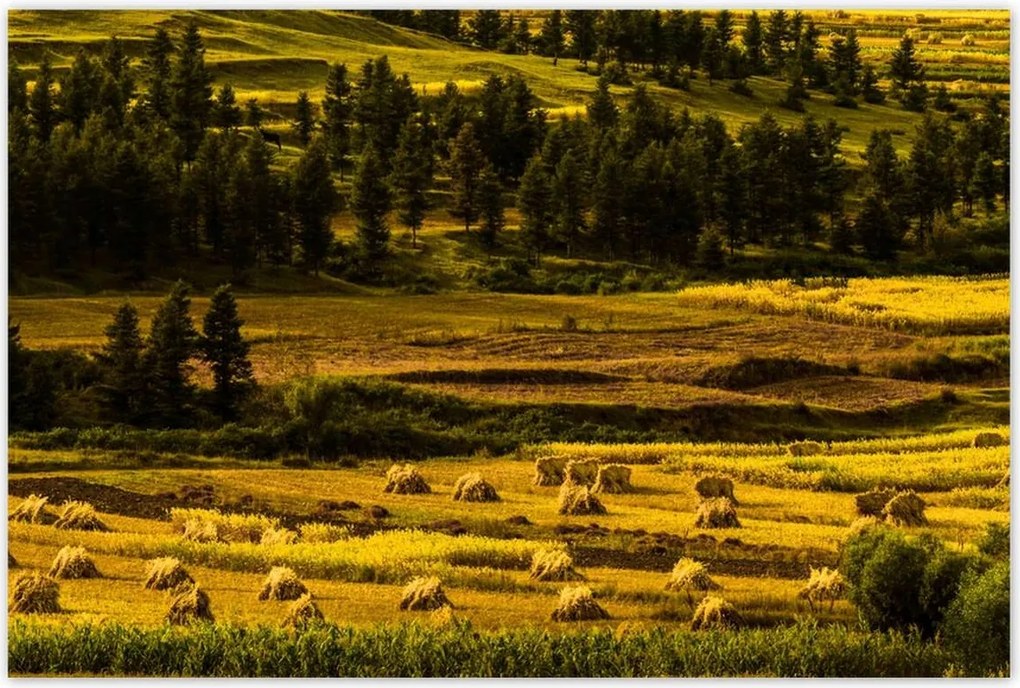 Poszterek 120x80 Tájkép Látvány