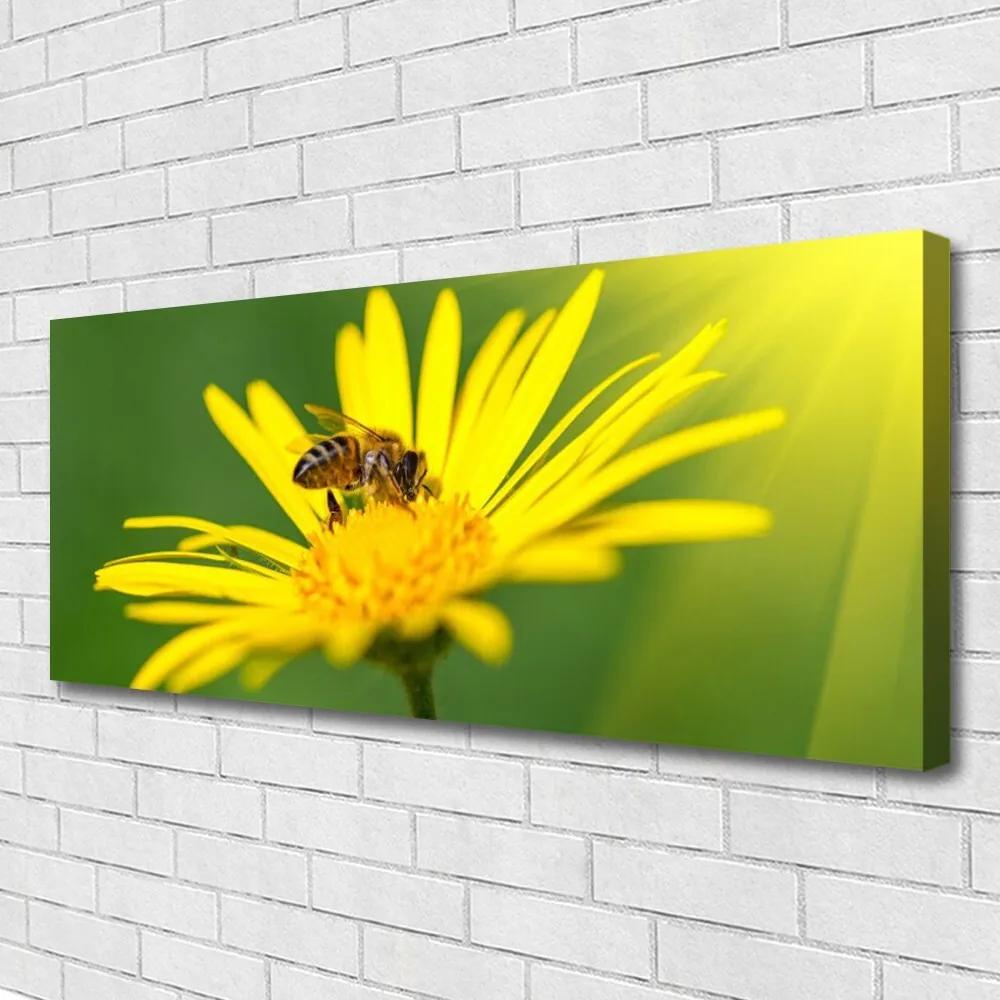 Vászonkép falra Bee Virág Természet 140x70 cm