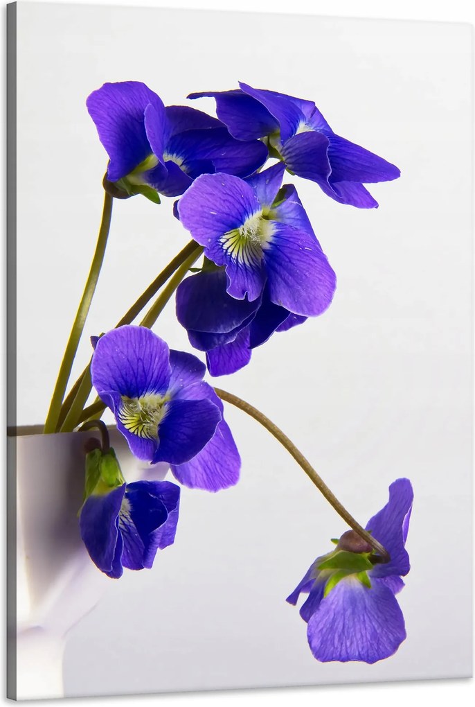 Botanika vászonkép Lila ibolyák 60x90