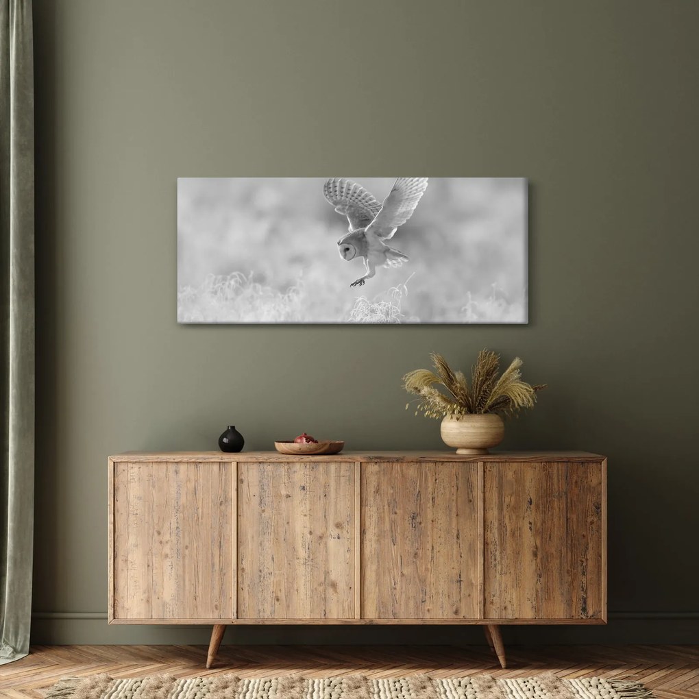 Kép - Bagoly, fekete-fehér (120x50 cm)