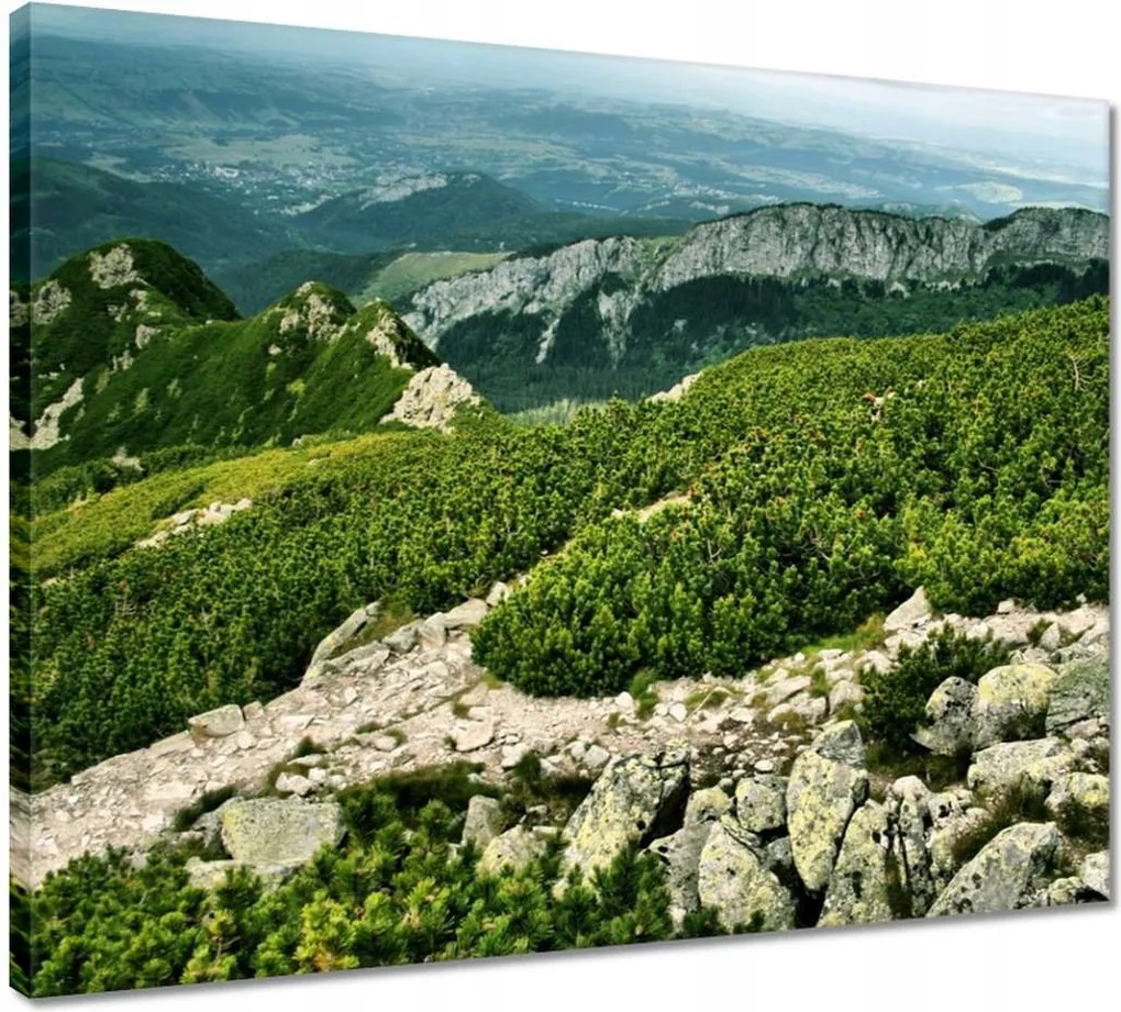 Vászonkép 50x40 Tátra Lengyel hegyek Kilátás