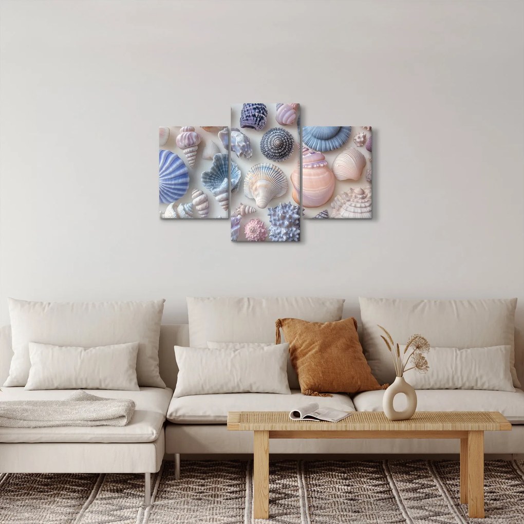 Kép - Kagylógyűjtemény (90x60 cm)