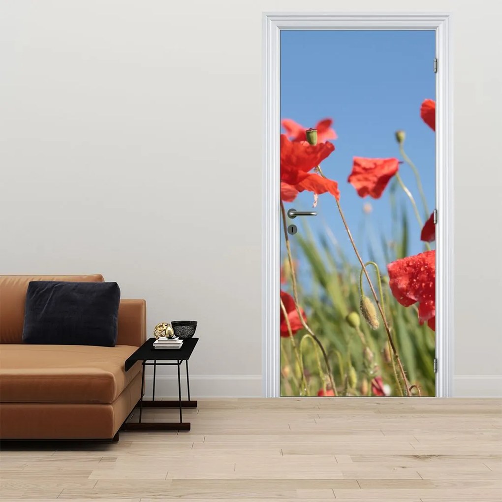 Fotótapéta ajtóra - Pipacsok (95x205cm)