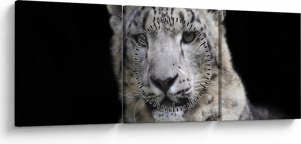 Kép - Snow Leopard (órával) (90x30 cm)