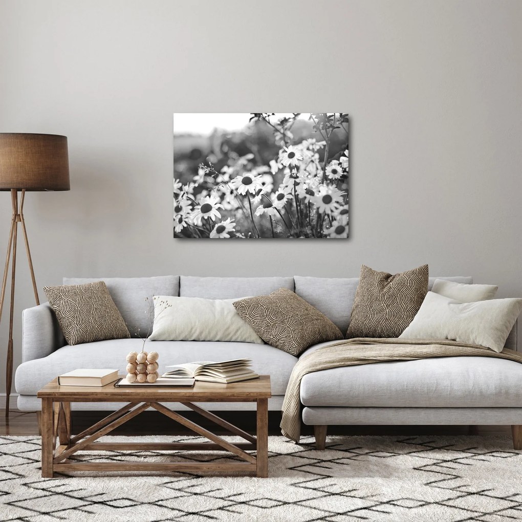Kép - Százszorszépek (70x50 cm)