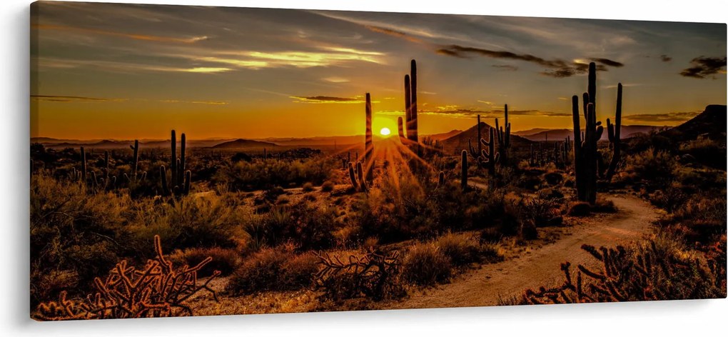 Kép - A nap vége az arizonai sivatagban (120x50 cm)