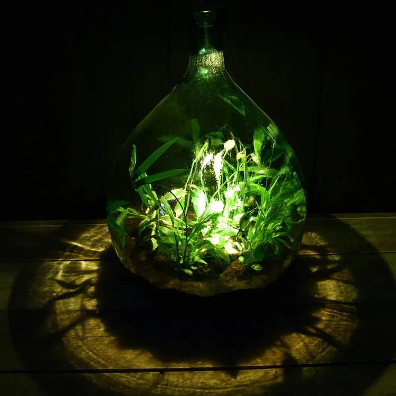 Csináld magad florárium szett, 5 literes