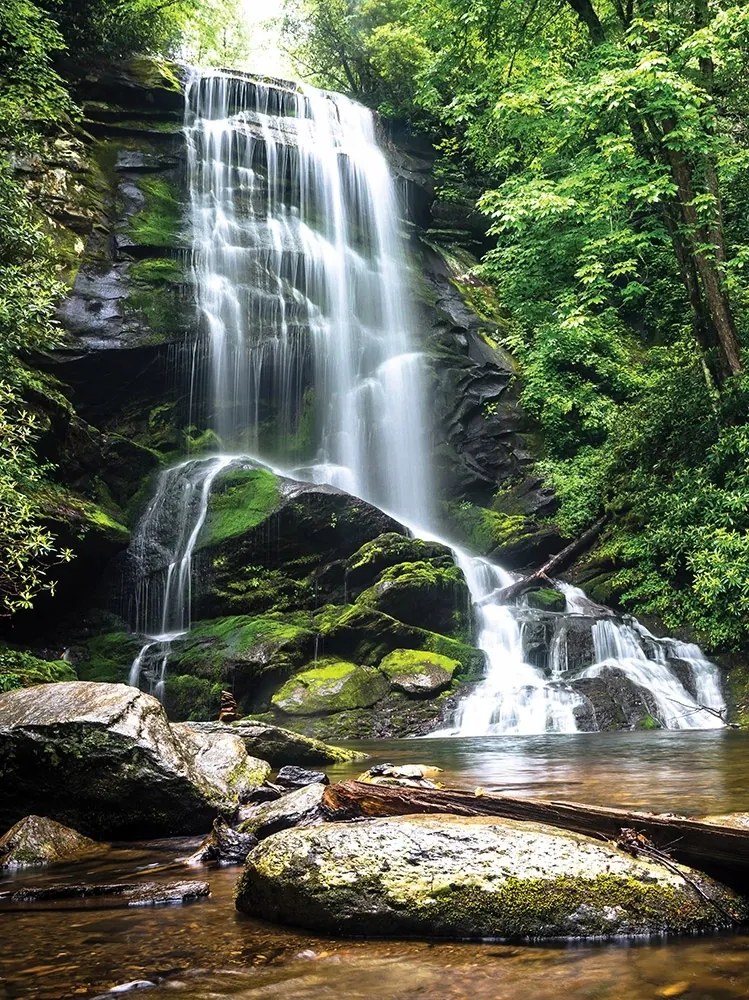 Fotótapéta Függőleges vízesés folyó falfestmény Ragasztó Ajándék 206 x
