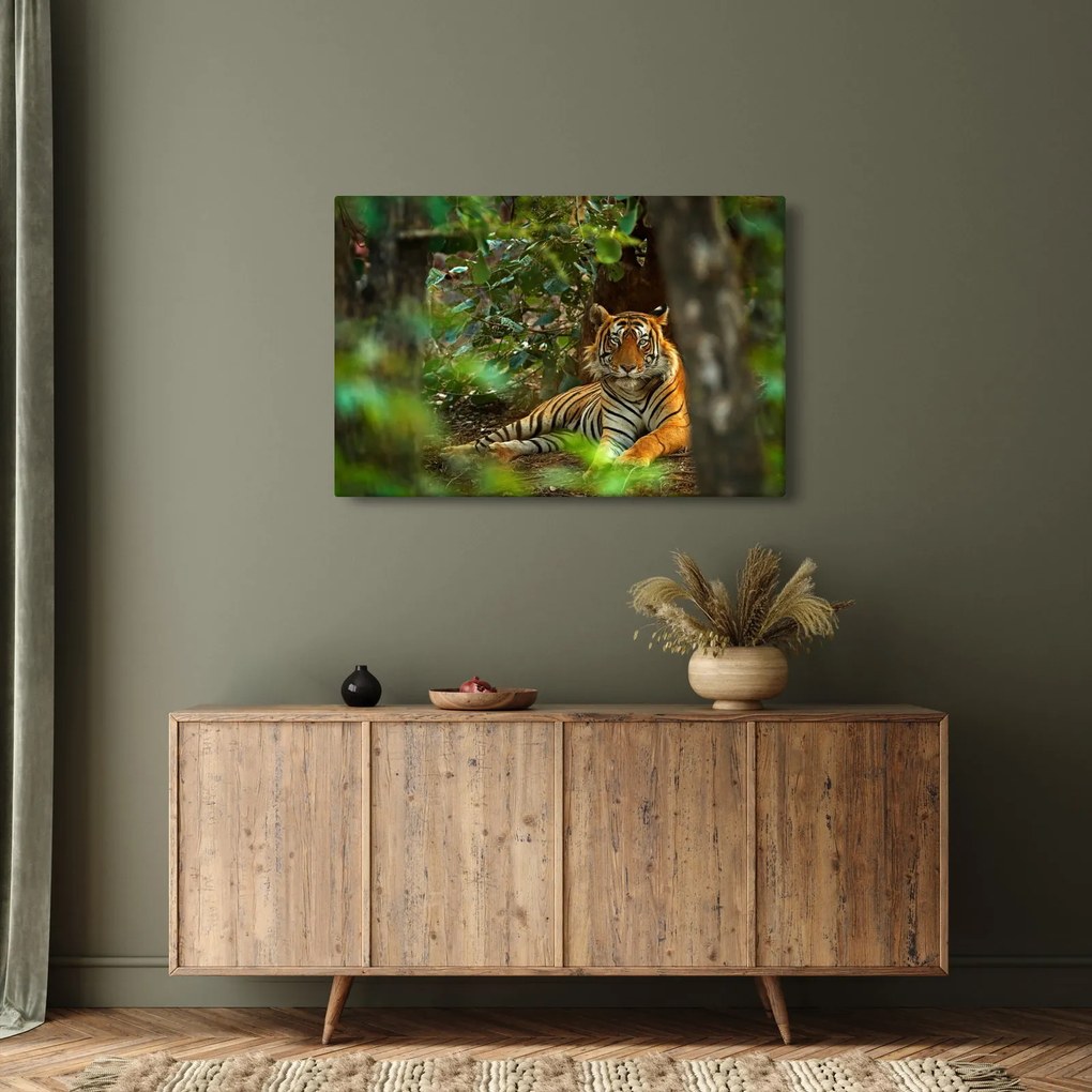 Pihenő tigris képe (90x60 cm)