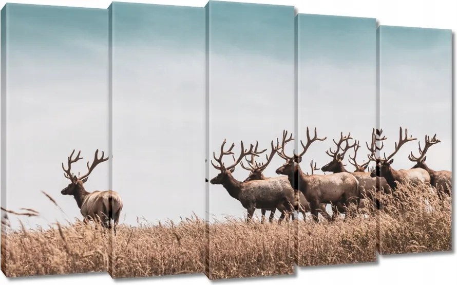 Vászonkép 150x95 Szarvasok felhője