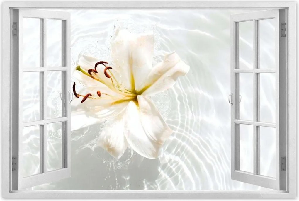 Poszterek 120x80 Virág a vízen Név