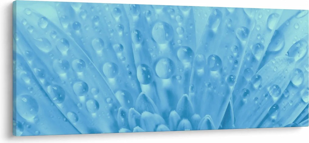 Kép - Makro felvétel egy virágról (120x50 cm)
