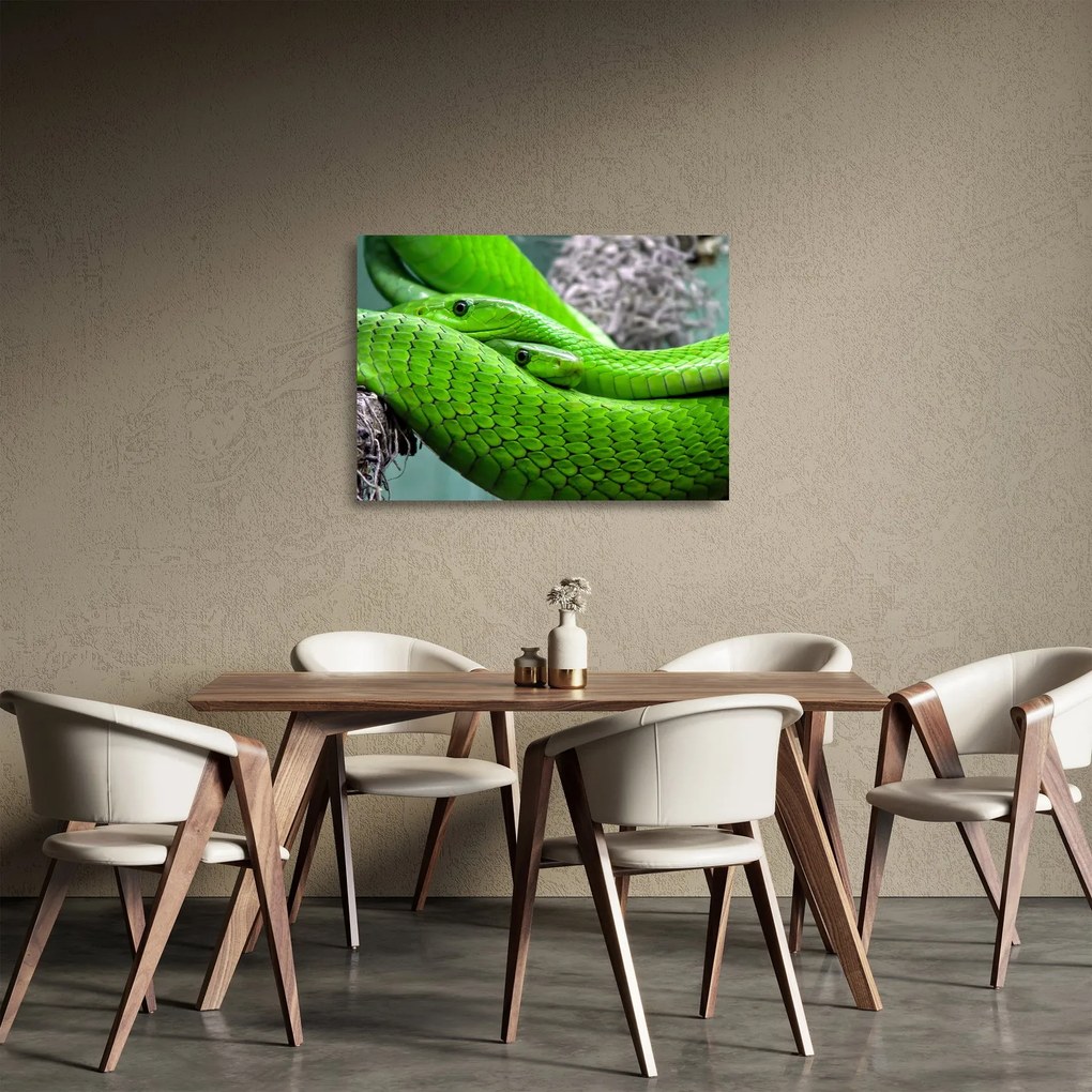 Zöld kígyók képe (üvegen) (70x50 cm)