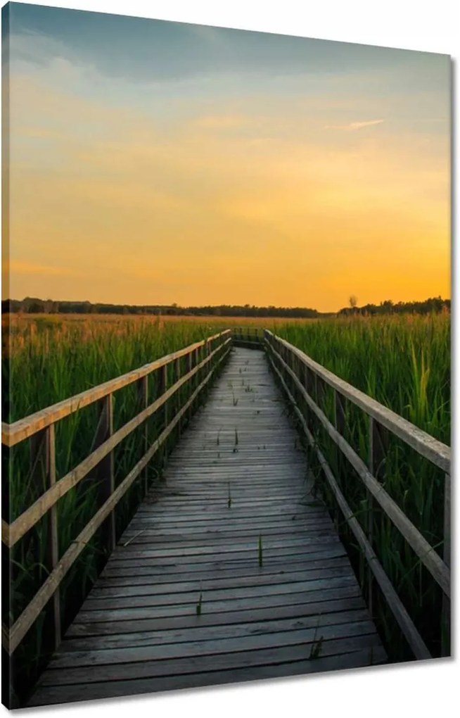 Vászonkép 60x80 Tájkép Naplemente