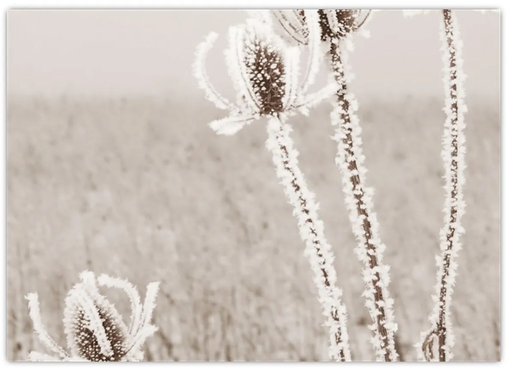 Üveg kép - Gyűszű télen (70x50 cm)