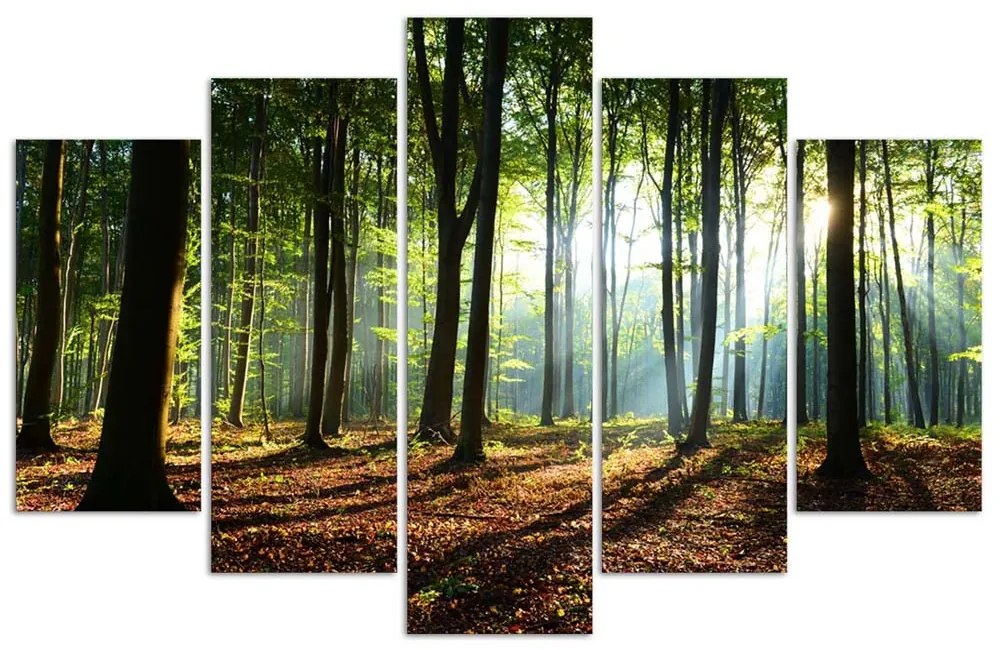 Gario Vászonkép Napsugarak az erdőben - 5 részes Méret: 200 x 100 cm