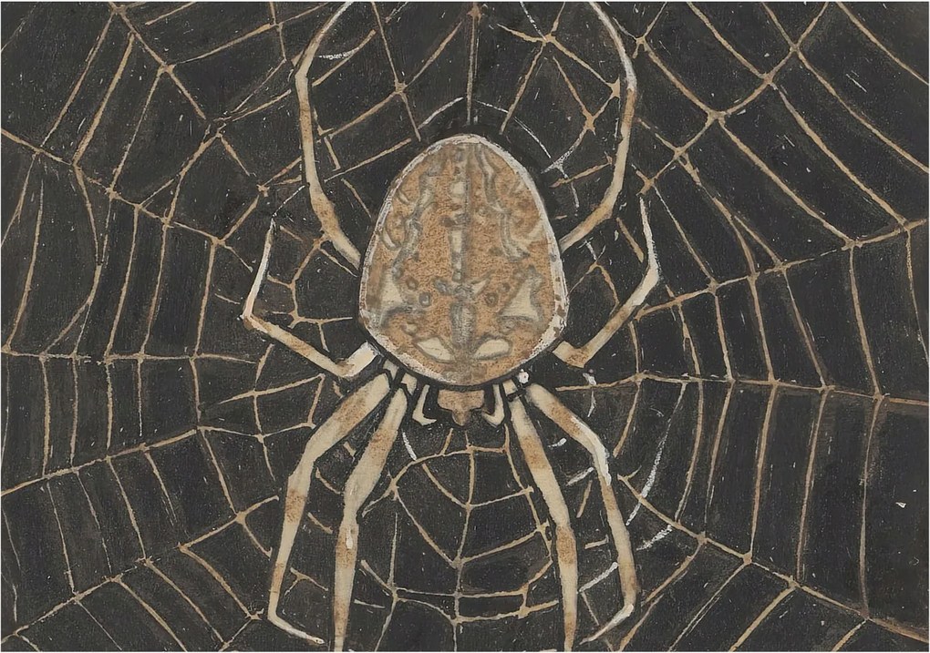 Fotótapéta Dekoratív Fali Tapéta Pókháló 208x146