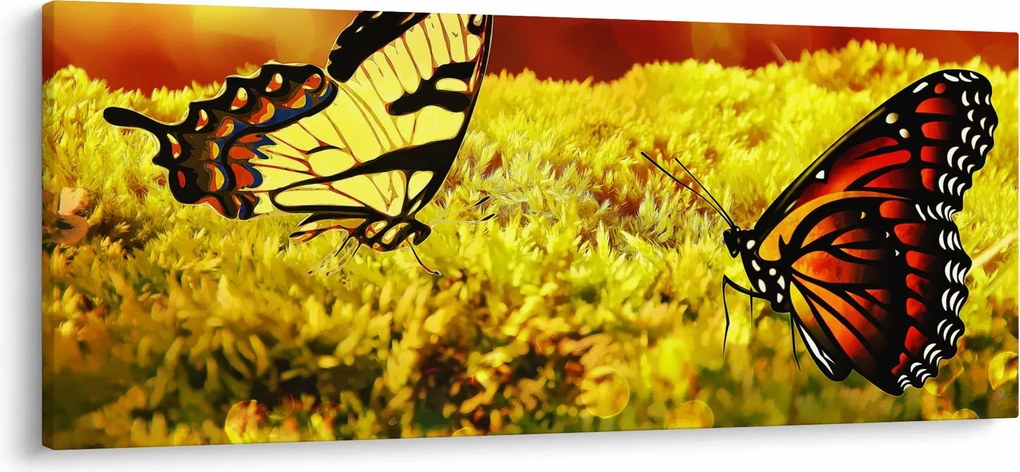 Pillangó képe (120x50 cm)