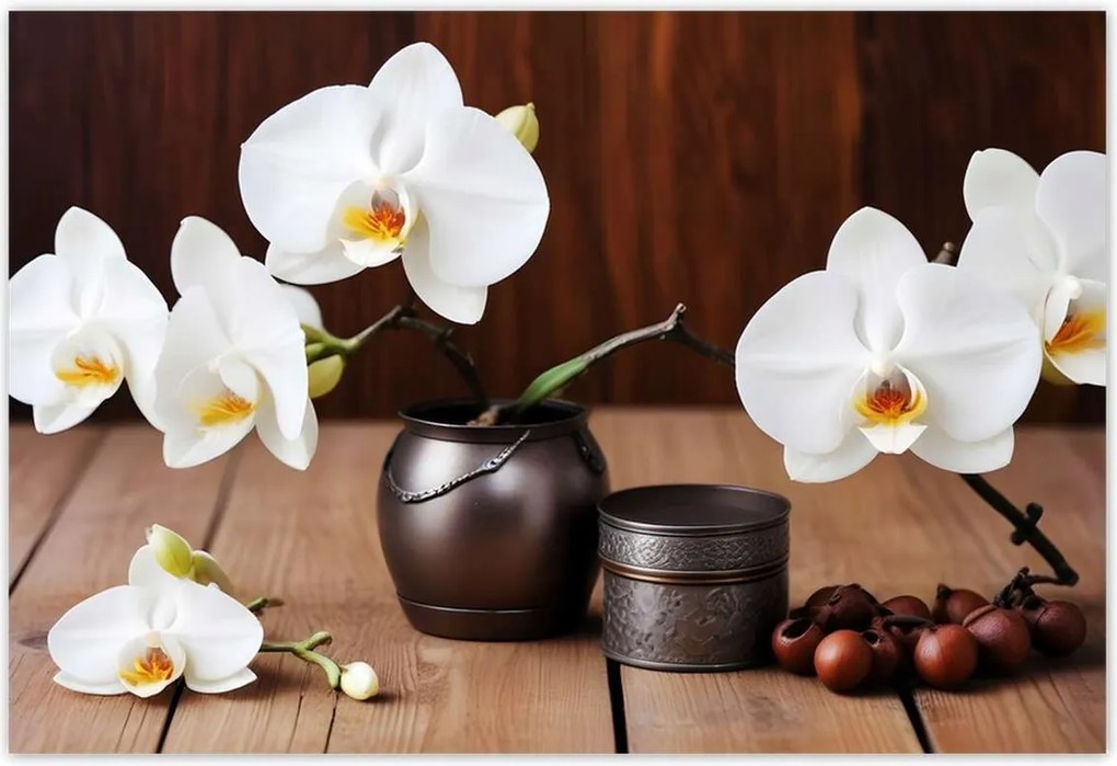 Poszterek 155x105 Fehér orchideák