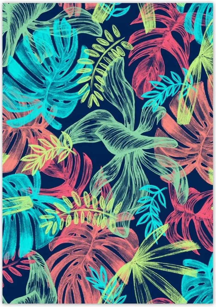 Poszterek 70x100 Monstera színes levelek