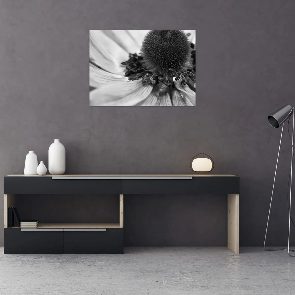 Üveg kép - Virág fekete-fehérben (70x50 cm)