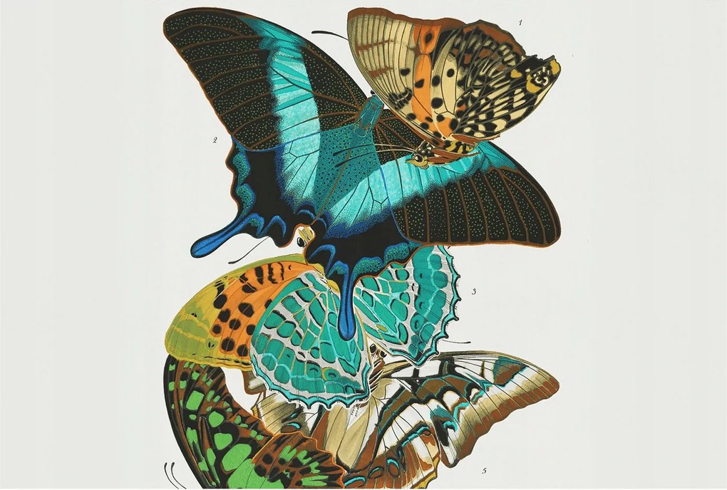 Fotótapéta Dekoratív Fali Tapéta Képek Színes Pillangók 104x70