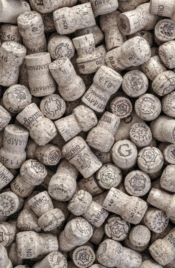 Poszter 53x81cm Pezsgős dugók, Assaf Frank