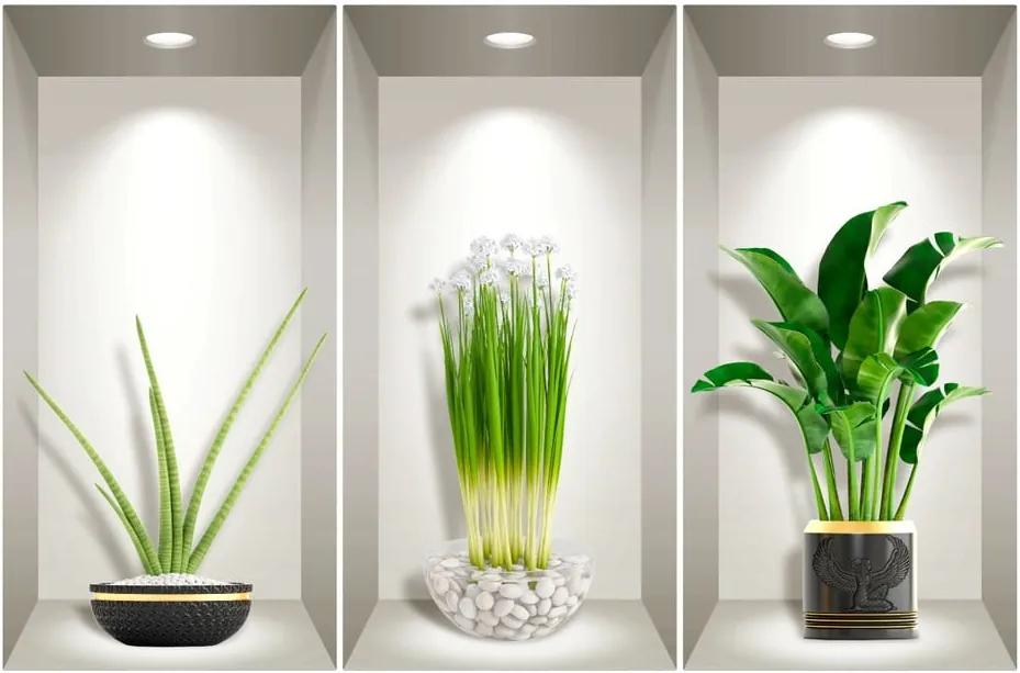Plants of the Tropics 3 db-os 3D falmatrica szett - Ambiance