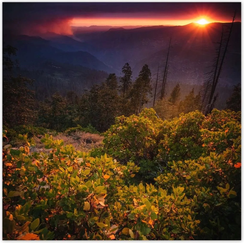 Poszterek 140x140 Kilátás Tájkép