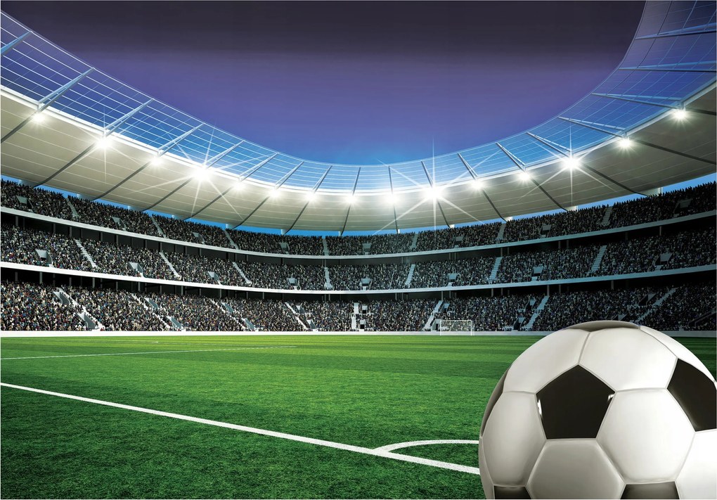 Flizelin fotótapéta Labdarúgó stadion energia gyerekeknek 200x140 +ragasztó