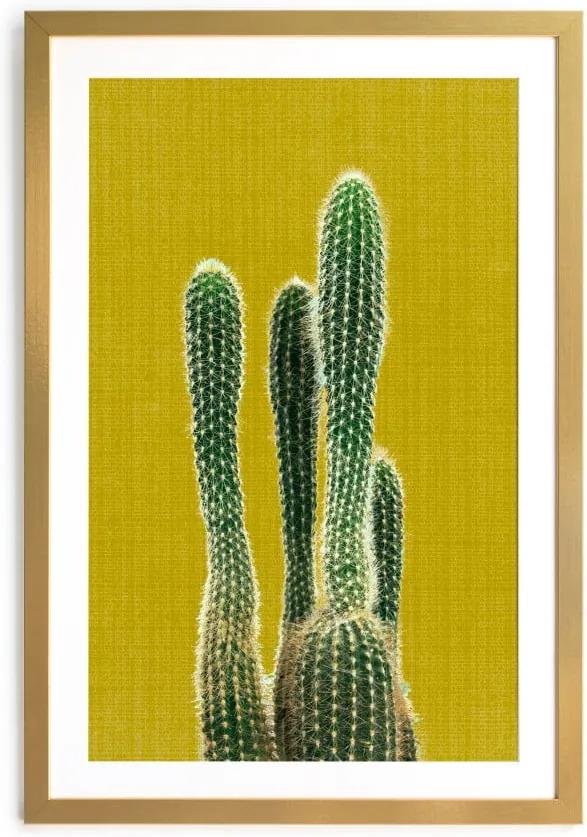 Mustard Background Cactus kép, 40 x 60 cm - Surdic