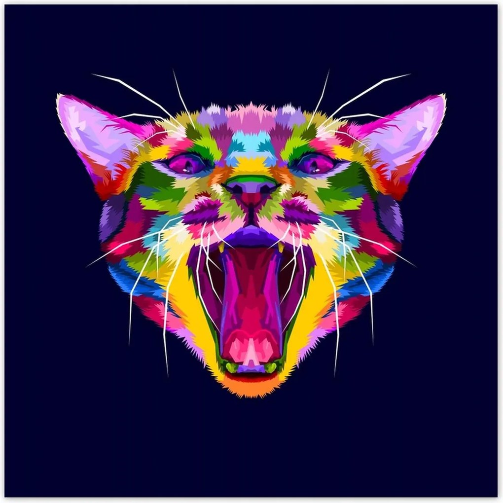 Poszterek 30x30 Cica Cicák