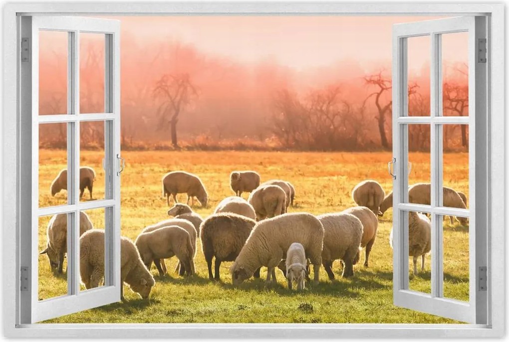 Poszterek 60x40 Juh legeltetés Bárányok