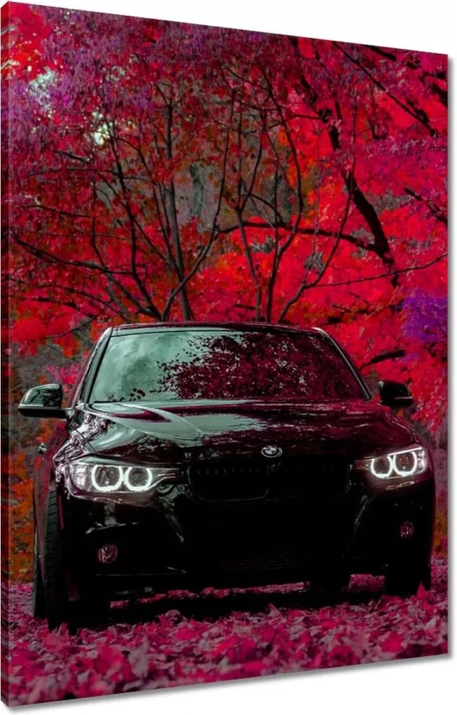Vászonkép 60x80 Fekete Bmw Ősz