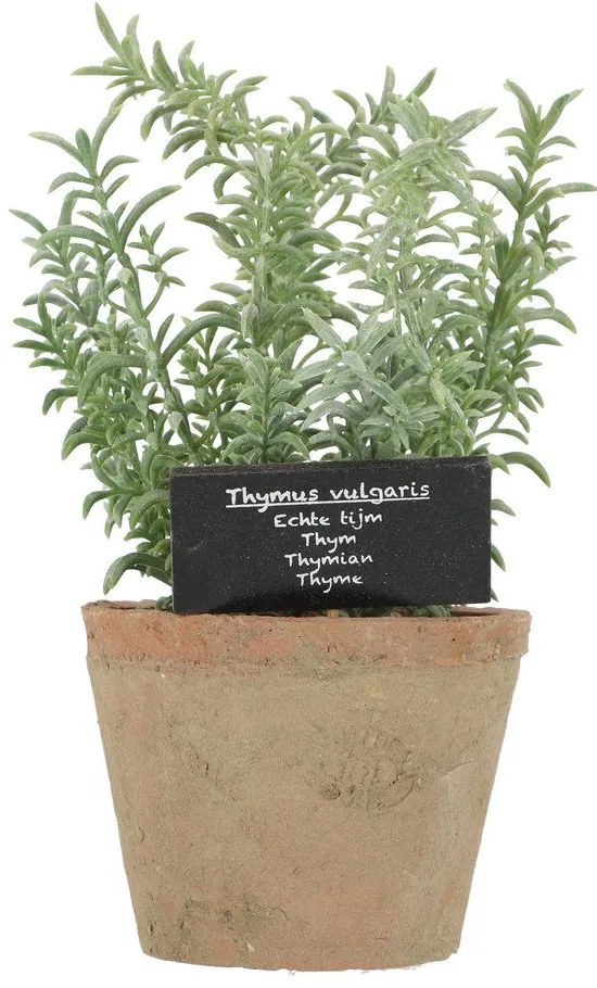 Műnövény (magasság 21,5 cm) Thyme – Esschert Design