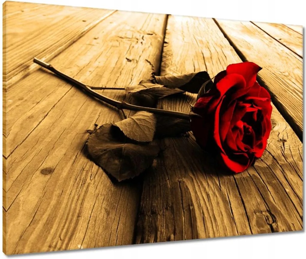 Vászonkép 80x60 Rózsa szépia deszkákon