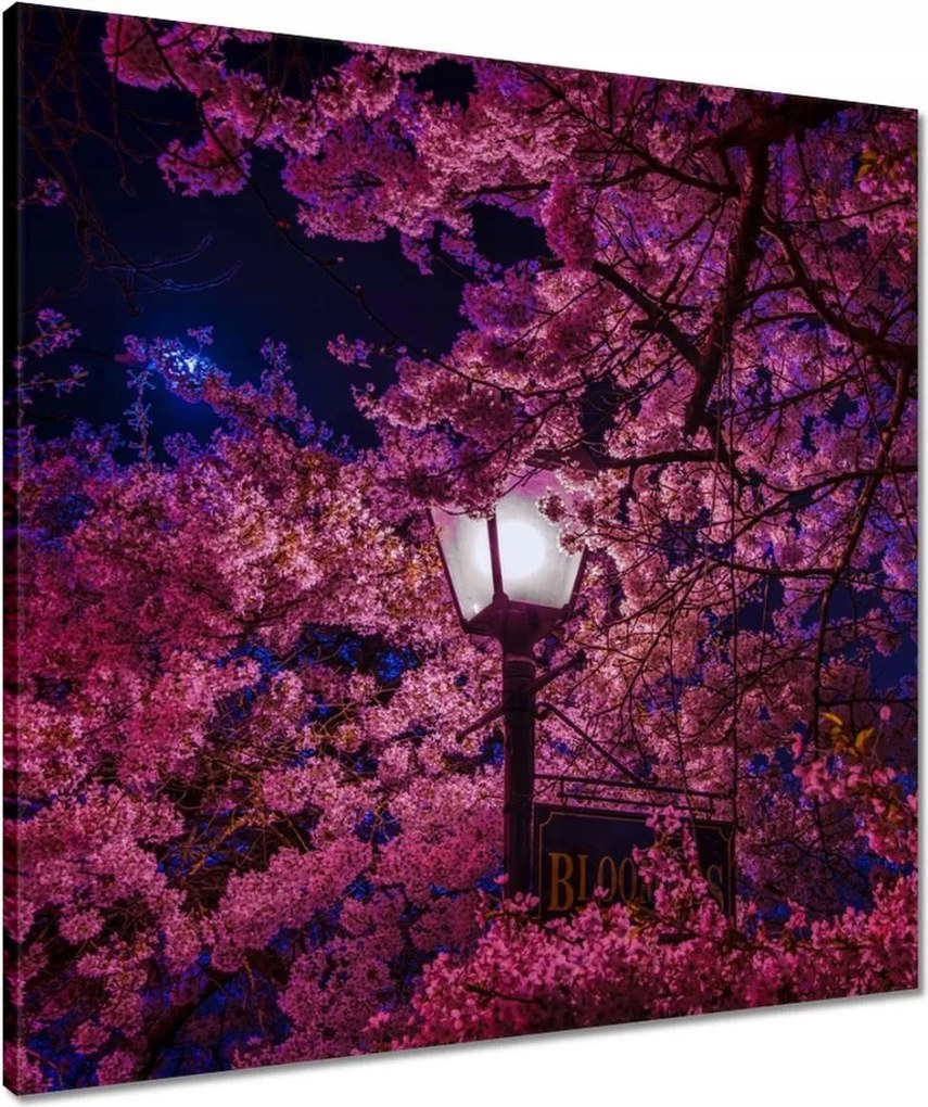 Vászonkép 60x60 Mély éjszaka Lámpa Virágok