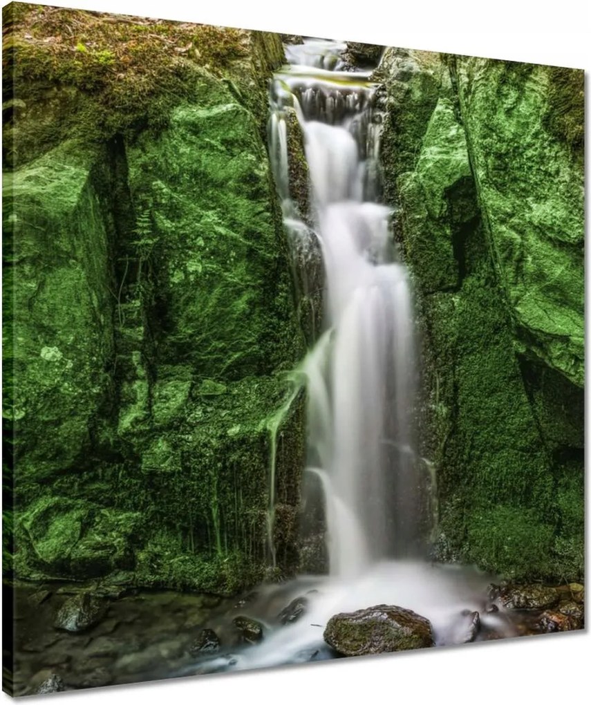 Vászonkép 50x50 Vízesés Erdei zuhatag