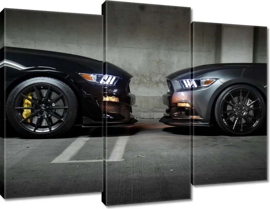 Vászonkép 90x70 Face to face Mustang