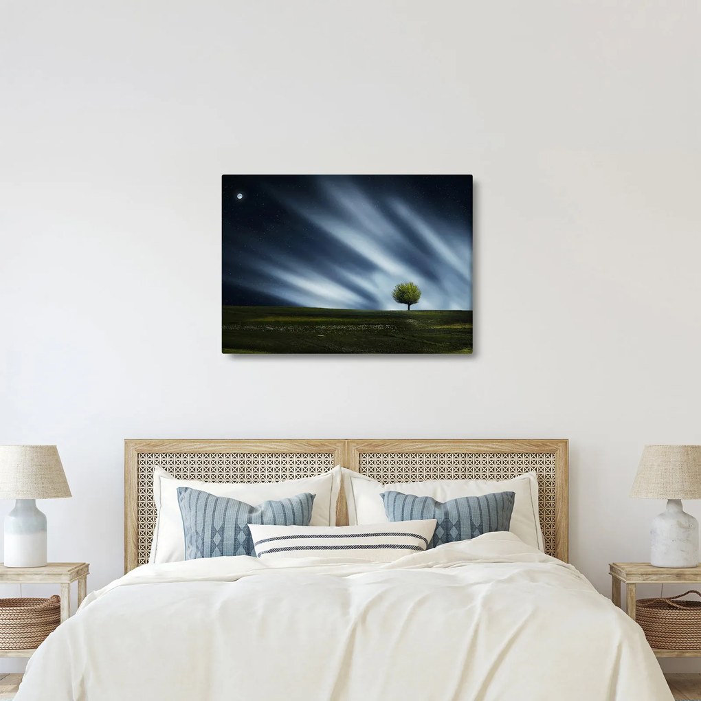 Az aurora borealis képe egy lápvidéken (70x50 cm)