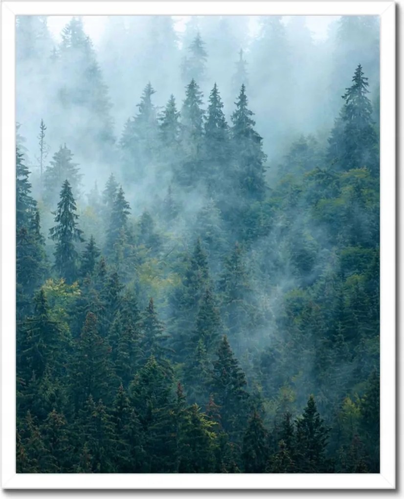 Poszter fehér keretben 40x50 Erdő a ködben Utazás