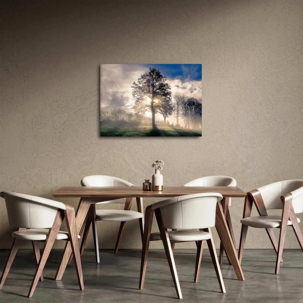 Fa a ködben képe (70x50 cm)
