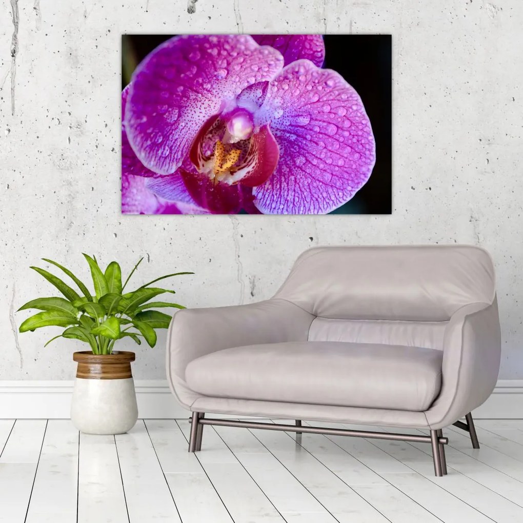 Részletes kép az orchidea virágról (90x60 cm)