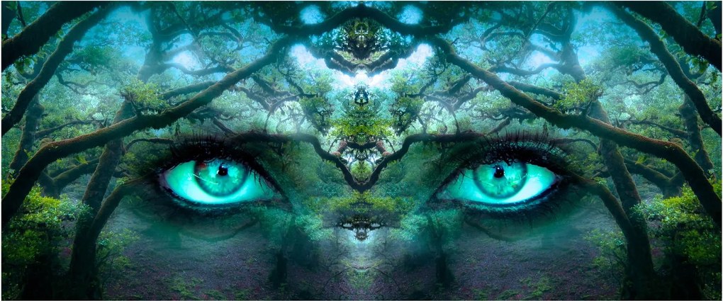 Kép - kilátás (120x50 cm)