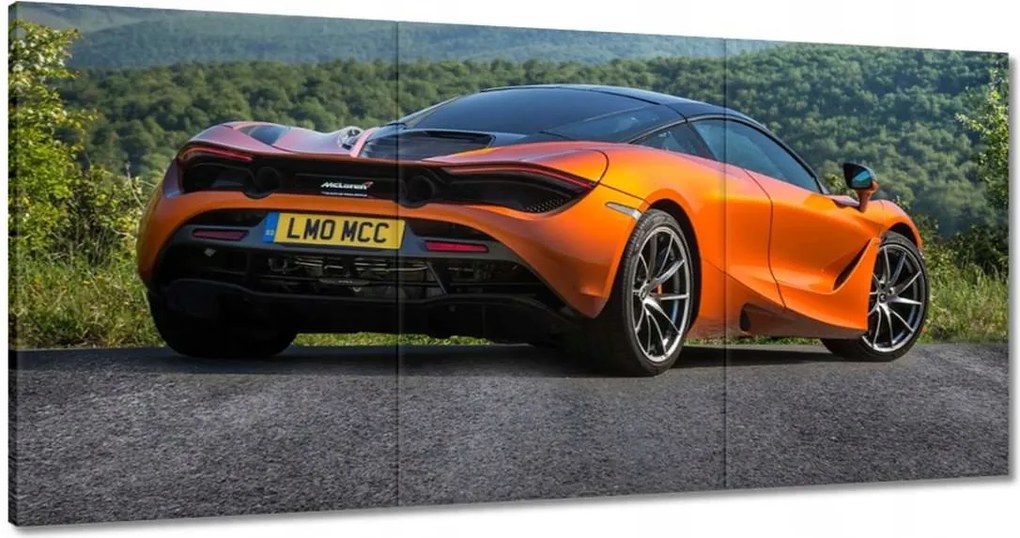 Festmények 120x60 McLaren
