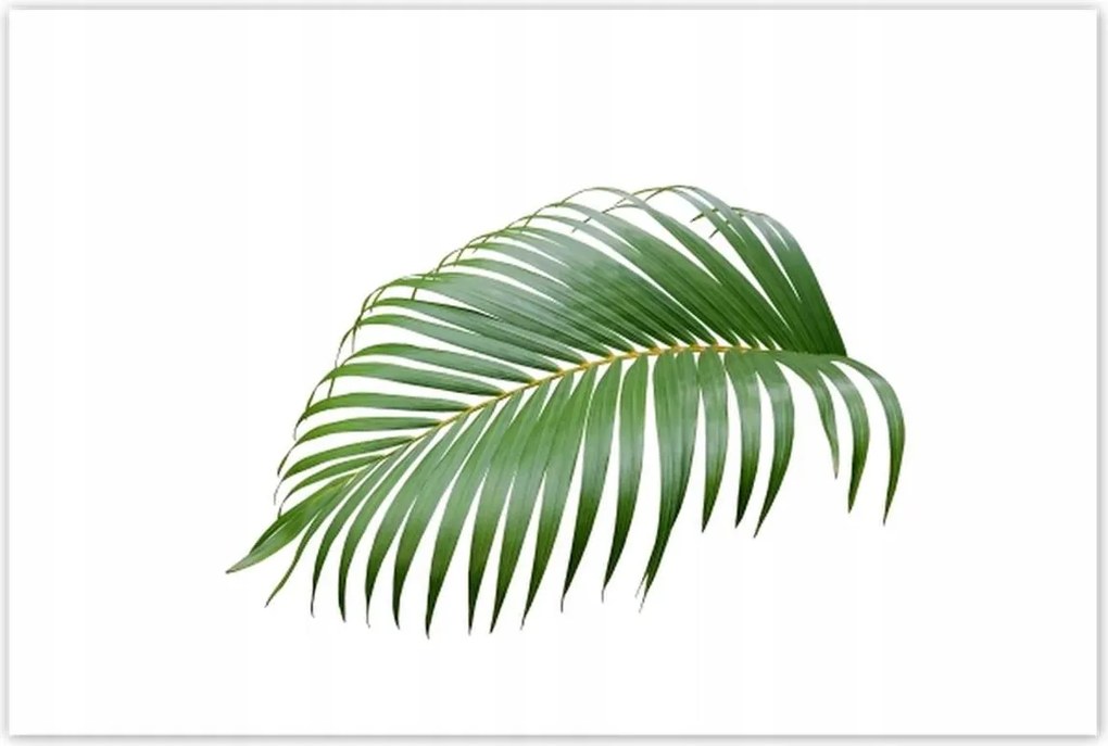 Poszterek 120x80 Zöld levél Minimalizmus