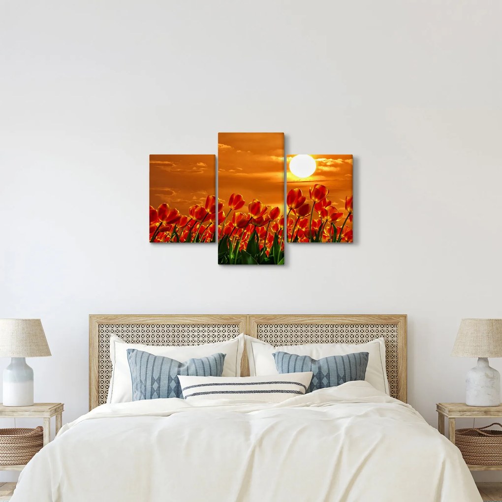 Kép egy virágzó mező tulipánokkal (90x60 cm)