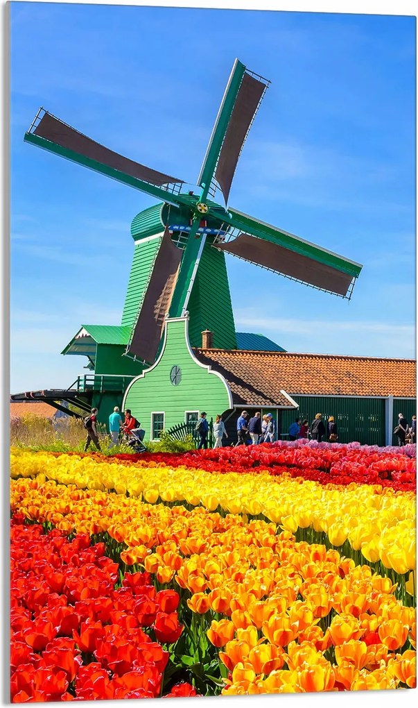 Üveg Vágódeszka 30x52 Kilátás a Konyhába