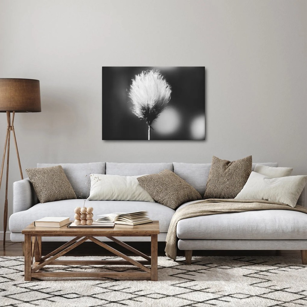 Kép - Fekete-fehér pamutfű (70x50 cm)